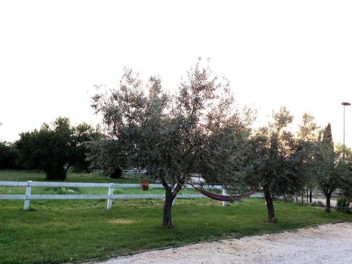 Relax Zone Umag